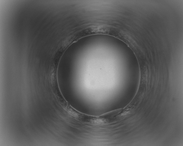 X0000072510513200607211401