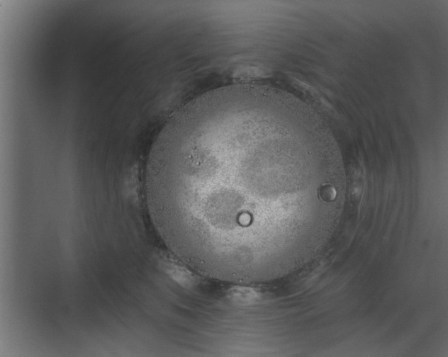 X0000072510519200607211401