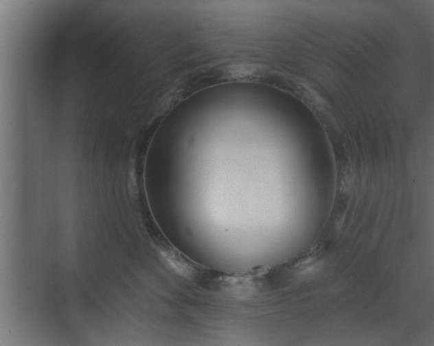 X0000072510524200607211400