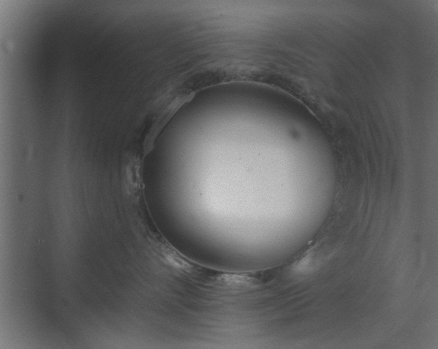 X0000072510528200607211400