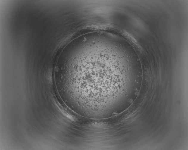 X0000072510537200607211400