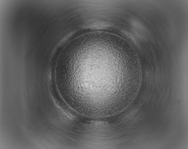 X0000072510539200607211400