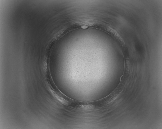 X0000072510541200607211400