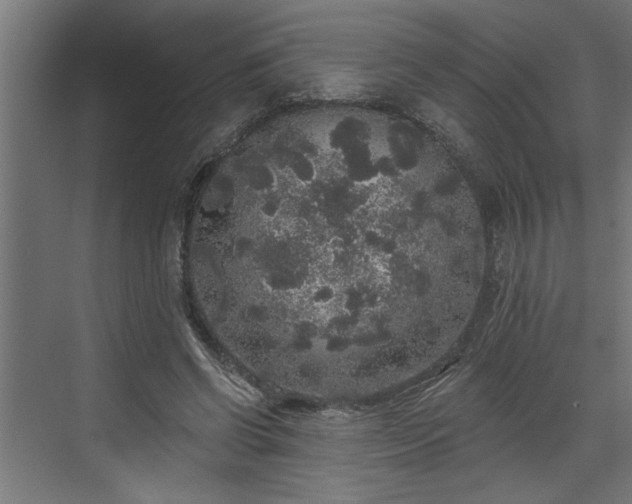 X0000072510542200607211400