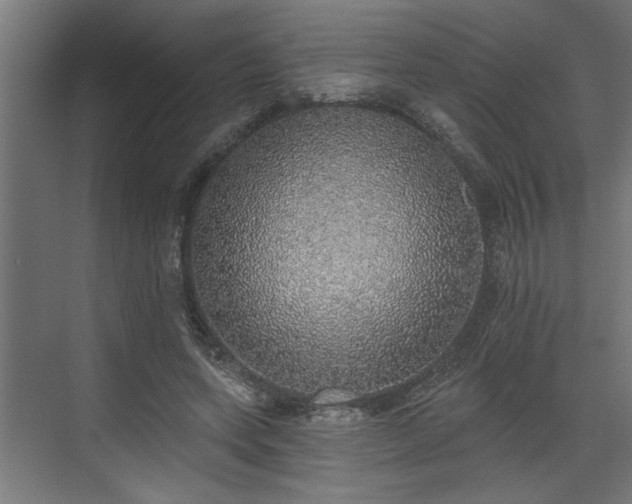 X0000072510543200607211400