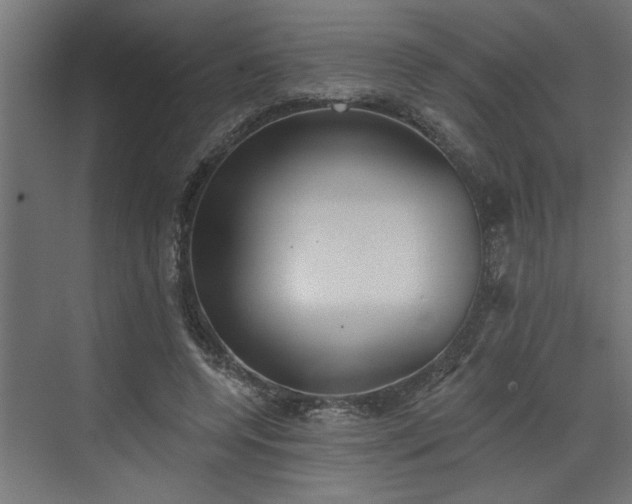 X0000072510544200607211400