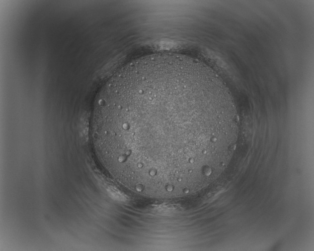 X0000072510545200607211400