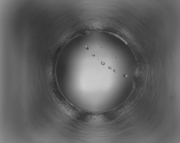 X0000072510548200607211400