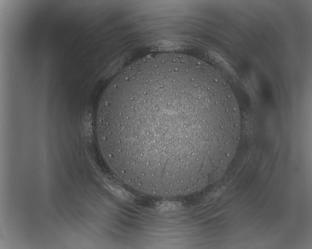 X0000072510549200607211400