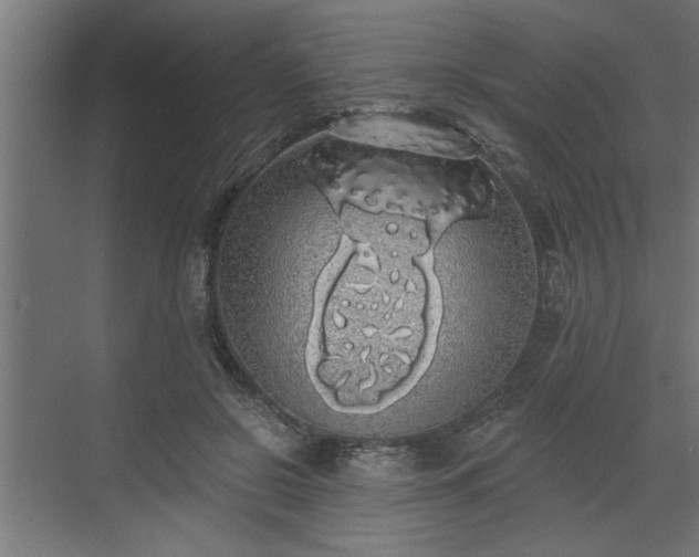 X0000072510550200607211400