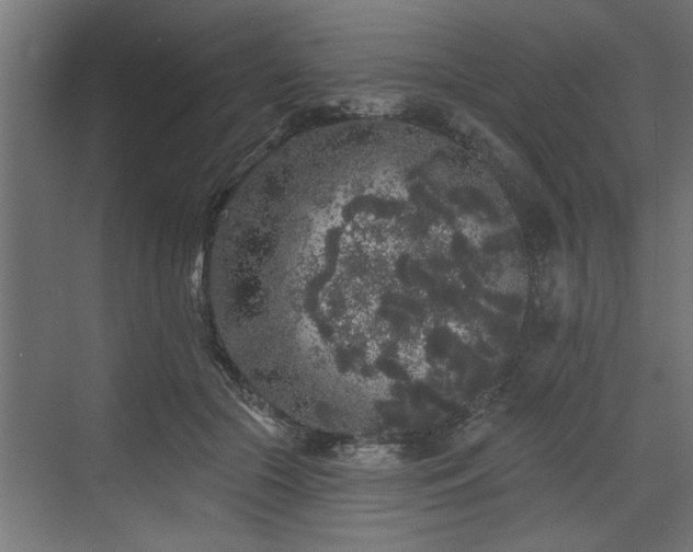 X0000072510553200607211400