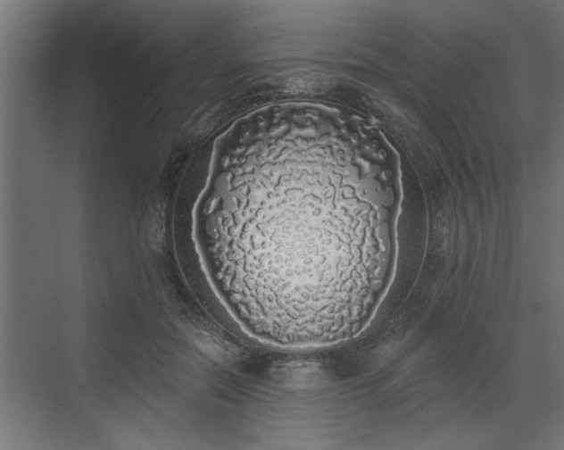 X0000072510554200607211400