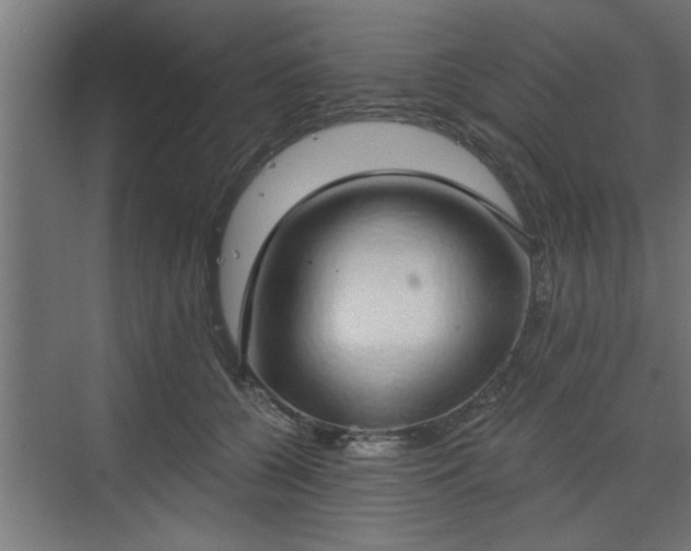 X0000072510560200607211400