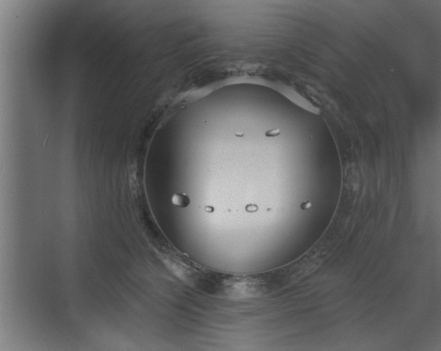 X0000072510564200607211400