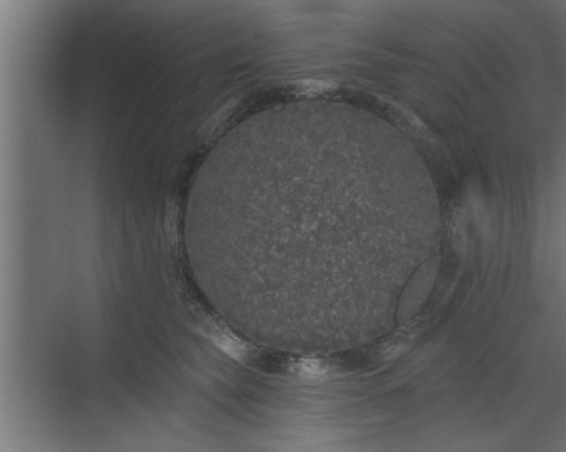 X0000072510565200607211400