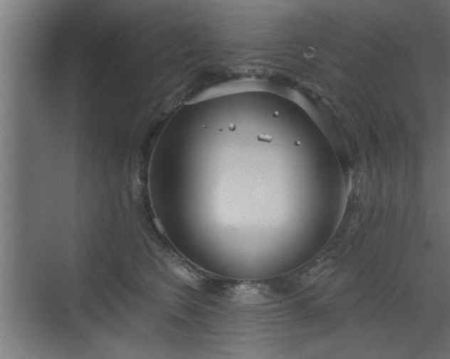 X0000072510566200607211400