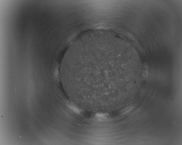 X0000072510573200607211400