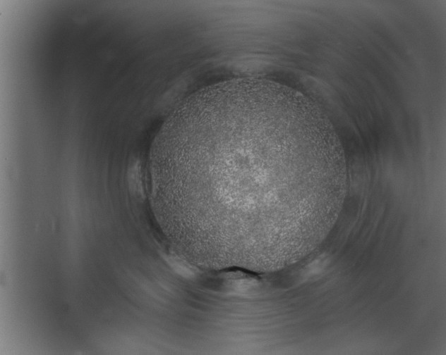 X0000072510575200607211400