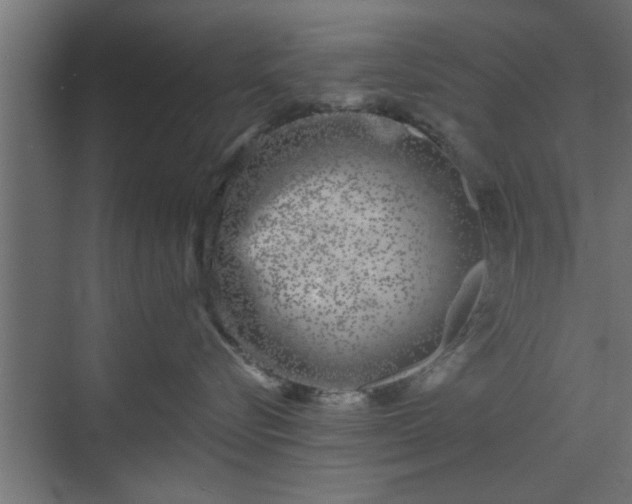 X0000072510576200607211400