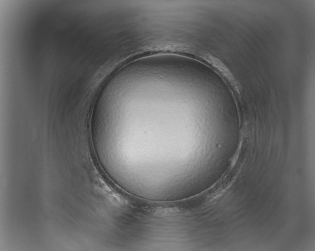 X0000072510577200607211400