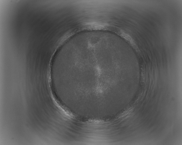 X0000072510582200607211400