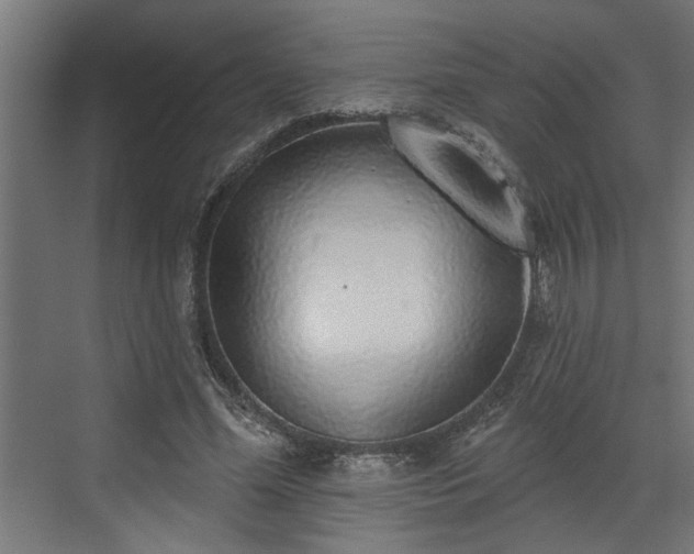 X0000072510588200607211359