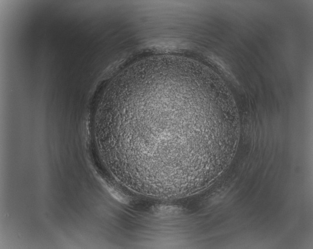 X0000072510590200607211359