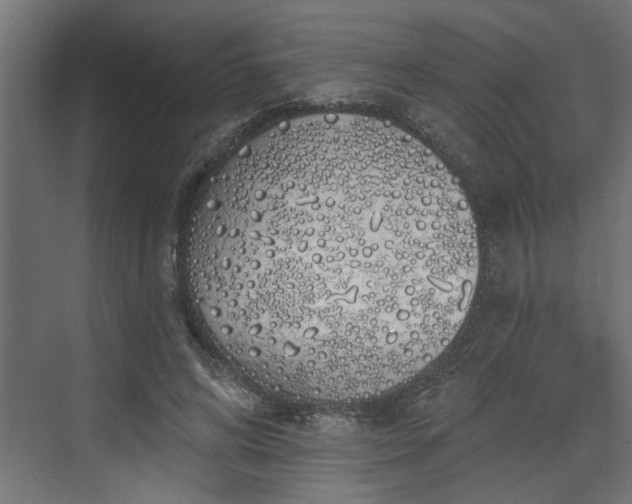 X0000072510592200607211359