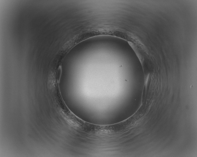 X0000072510593200607211359