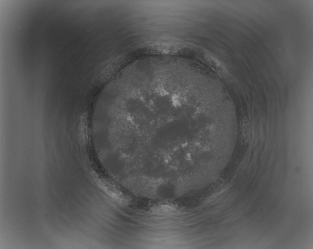 X0000072510594200607211359