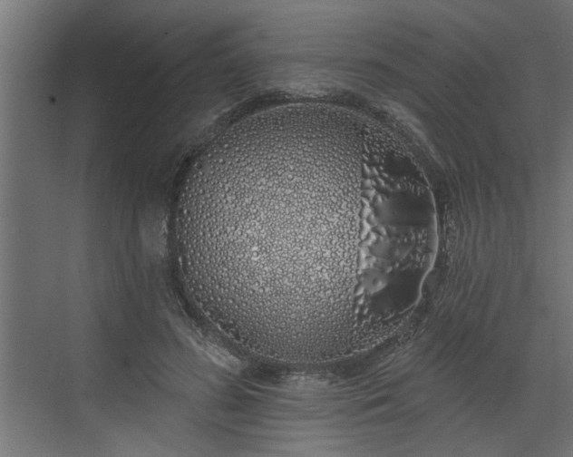 X0000072510596200607211359