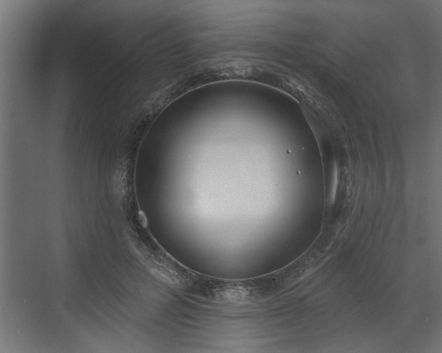 X0000072510600200607211359