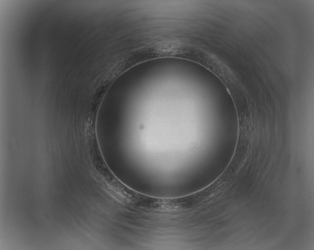 X0000072510601200607211359