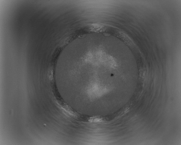 X0000072510602200607211359