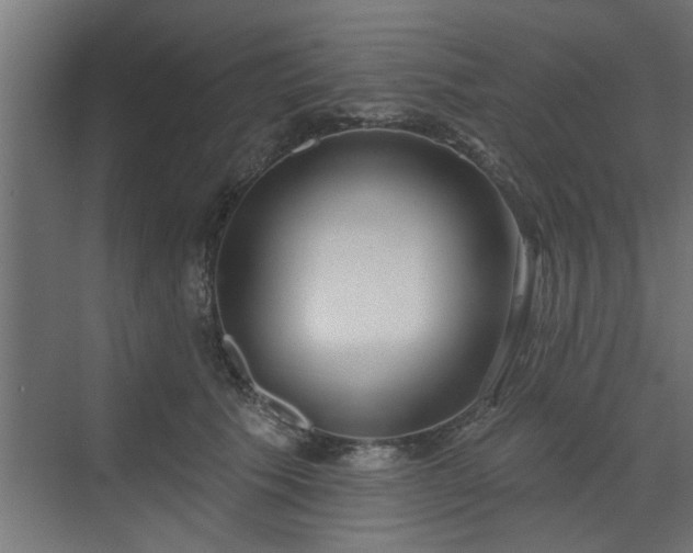 X0000072510609200607211359