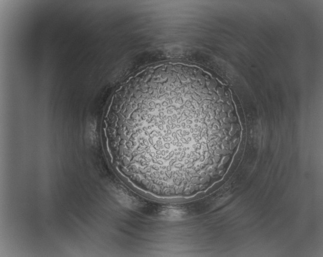 X0000072510610200607211359