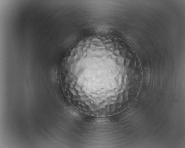 X0000072510619200607211359