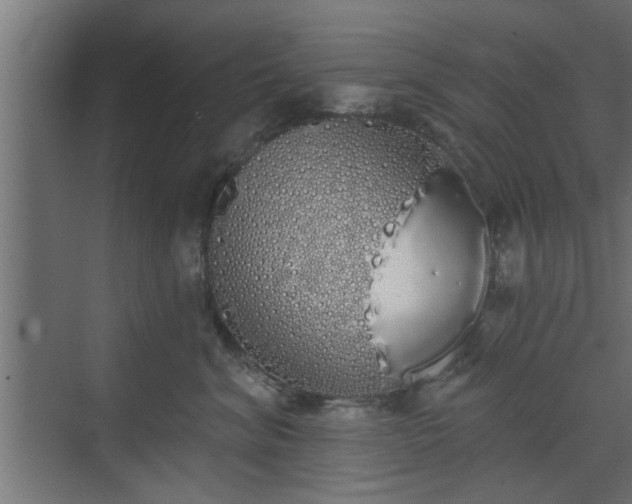 X0000072510620200607211359