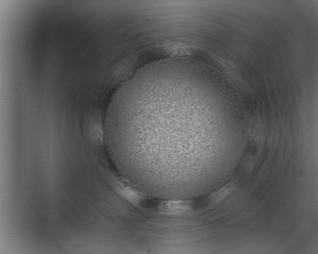 X0000072510622200607211359