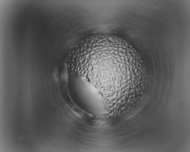 X0000072510624200607211359