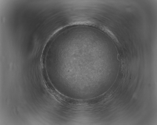 X0000072510628200607211358