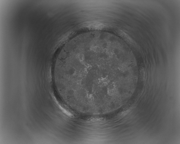 X0000072510638200607211358