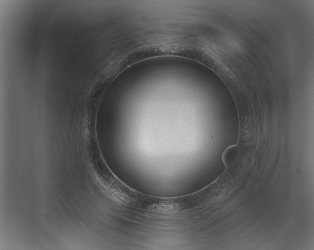 X0000072510639200607211358