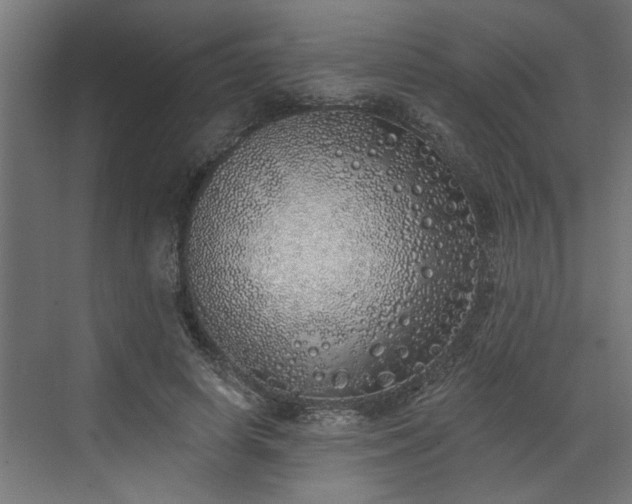 X0000072510642200607211358