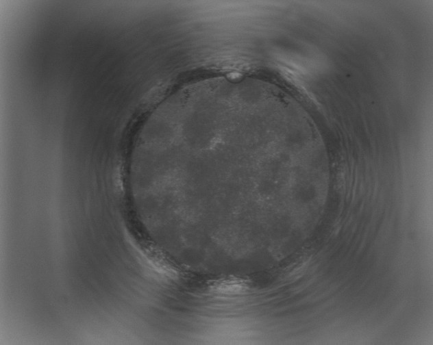 X0000072510643200607211358