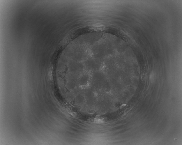 X0000072510647200607211358