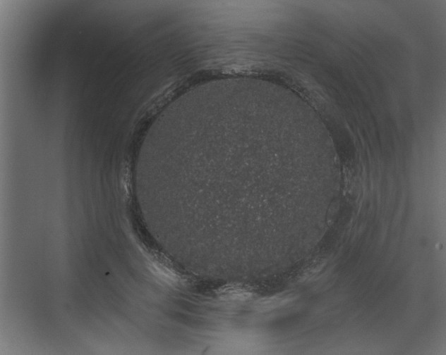 X0000072510648200607211358