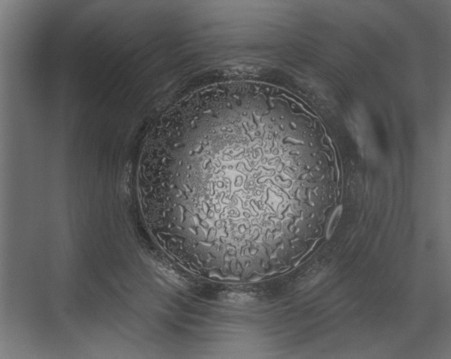 X0000072510649200607211358