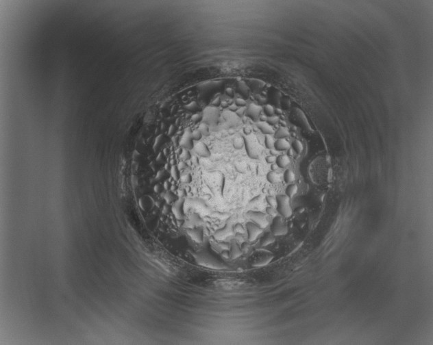 X0000072510650200607211358