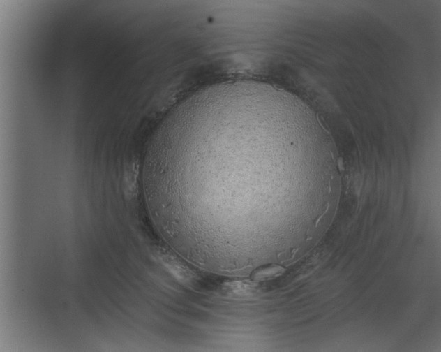 X0000072510660200607211359